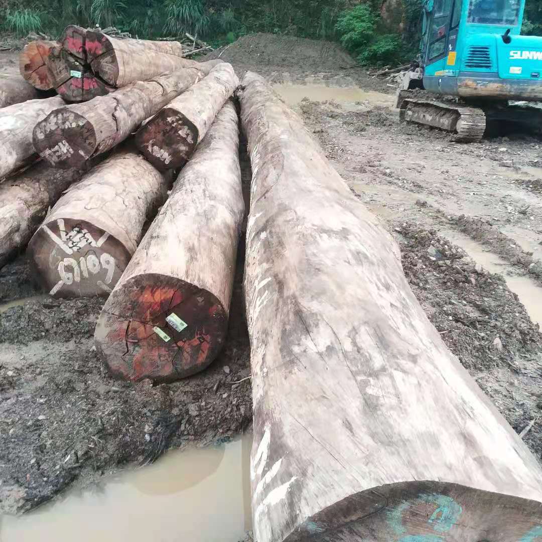 1698977933472212.jpg 3.jpg