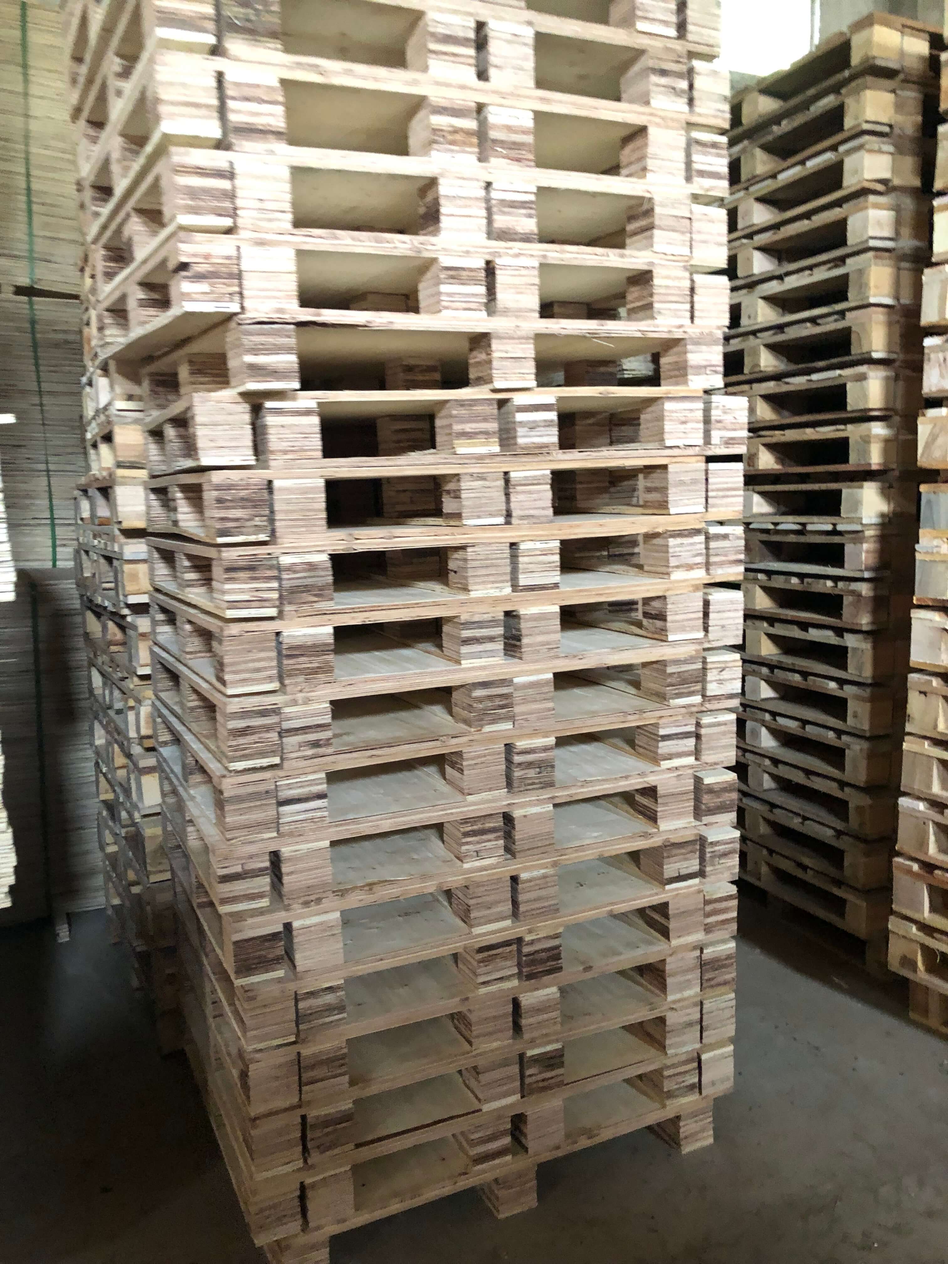 1701762820804555.jpg 45.jpg