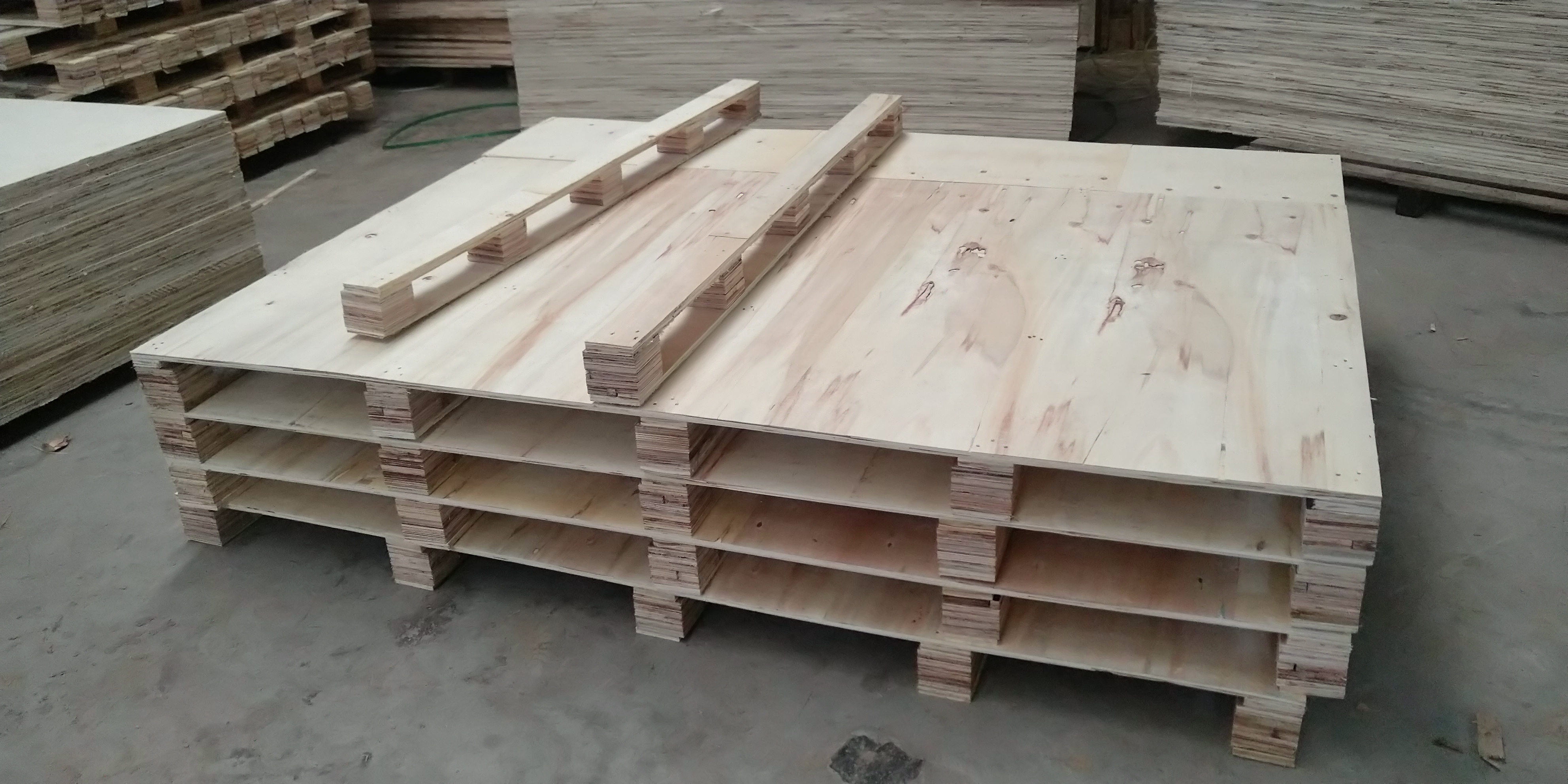 1701762842284129.jpg 3.jpg